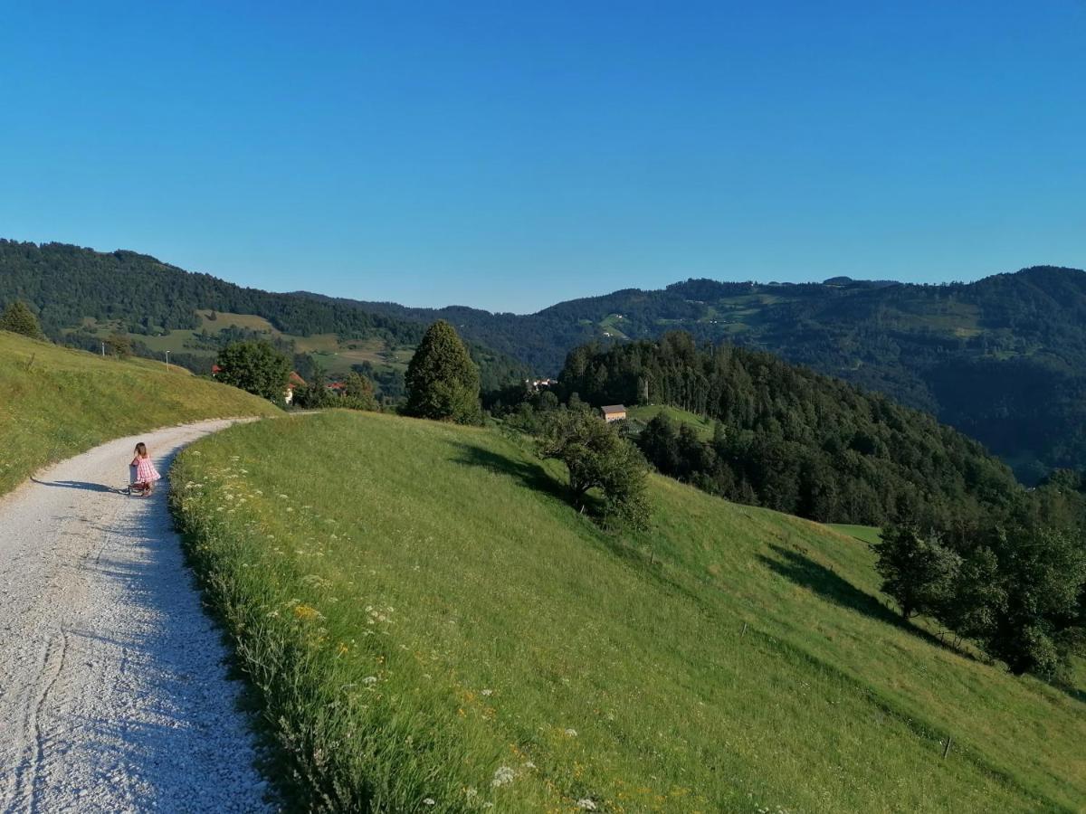 Apartma Na Ravnicah Cerkno Εξωτερικό φωτογραφία