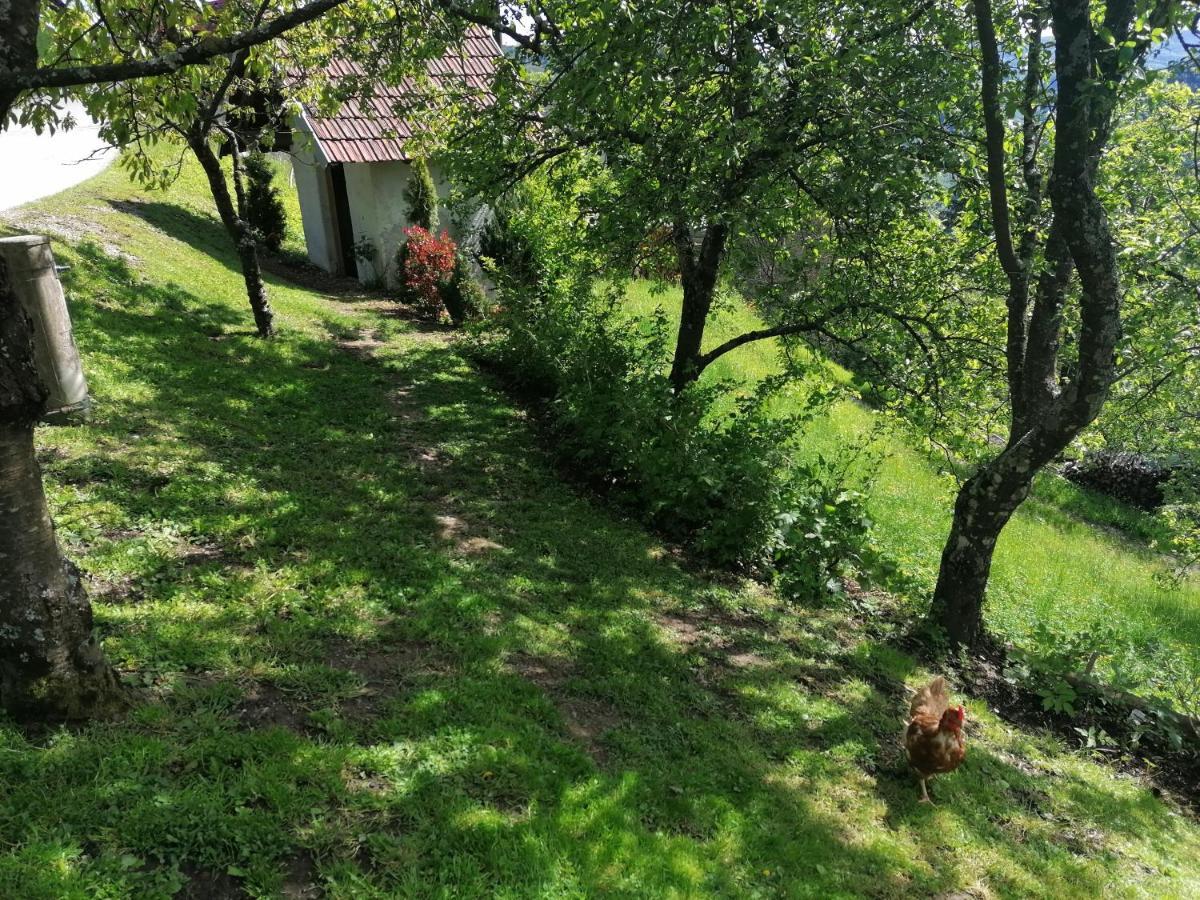 Apartma Na Ravnicah Cerkno Εξωτερικό φωτογραφία