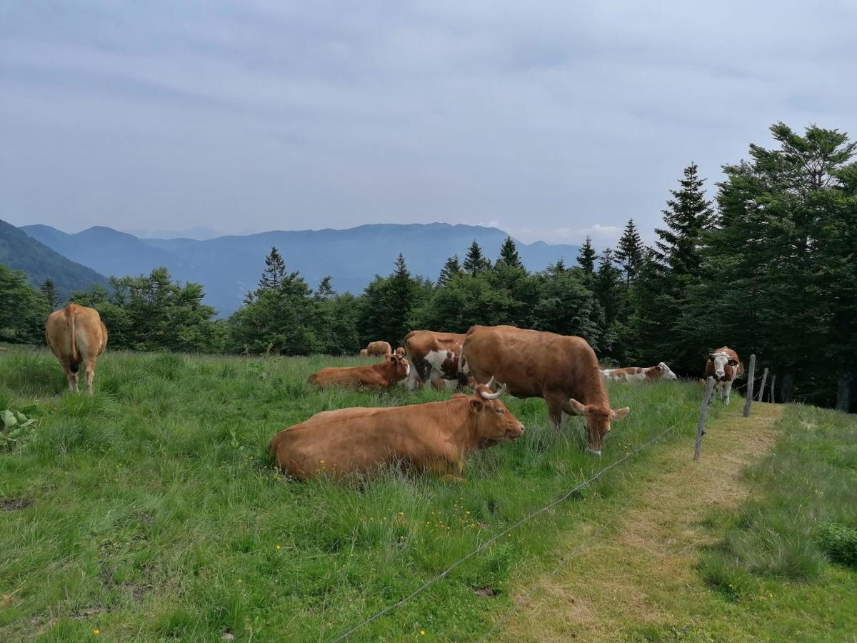 Apartma Na Ravnicah Cerkno Εξωτερικό φωτογραφία