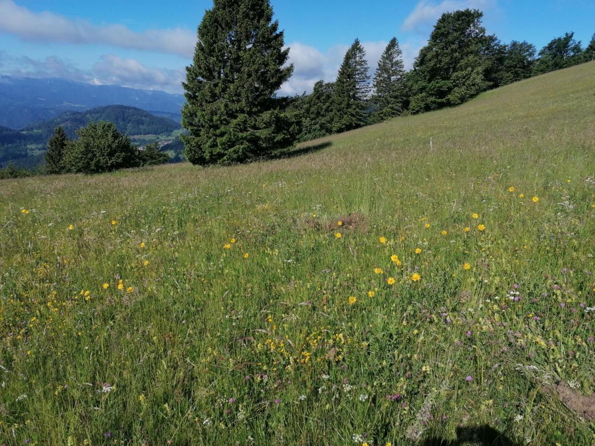 Apartma Na Ravnicah Cerkno Εξωτερικό φωτογραφία