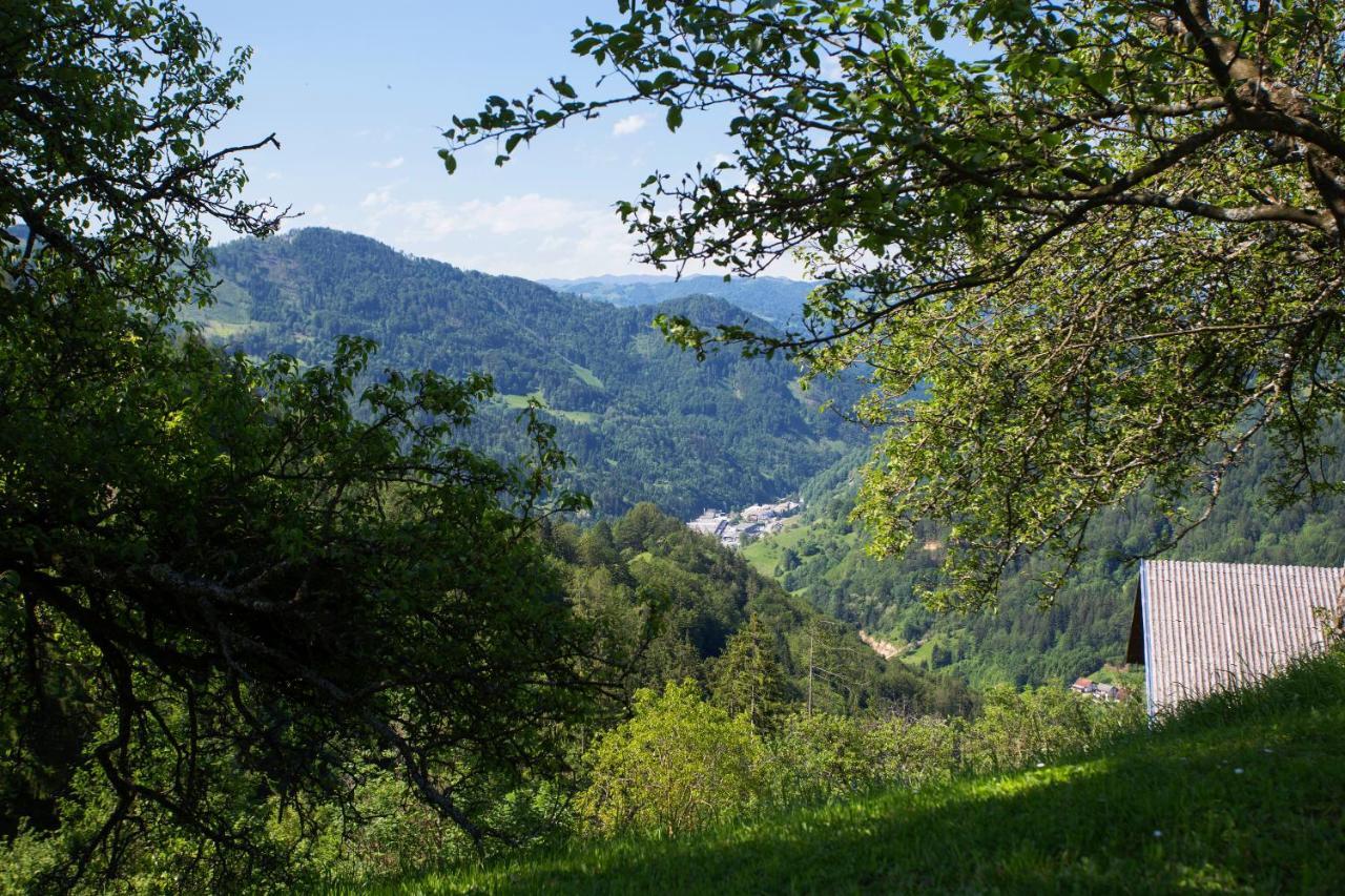 Apartma Na Ravnicah Cerkno Εξωτερικό φωτογραφία